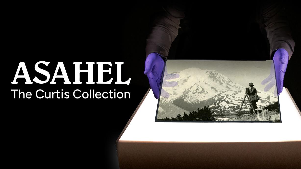 Asahel: The Curtis Collection
