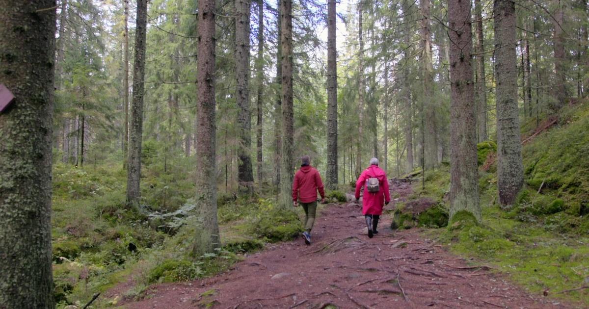 finland the happiest country in the world documentary