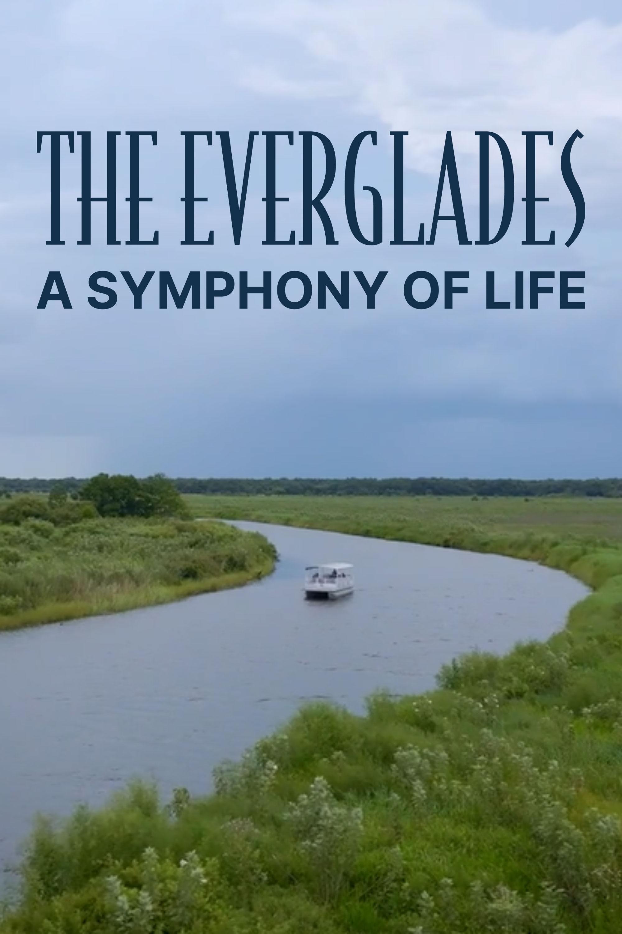 The Everglades: A Symphony of Life - Cascade PBS | Cascade PBS