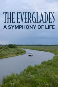 The Everglades: A Symphony of Life | The Everglades: A Symphony of Life