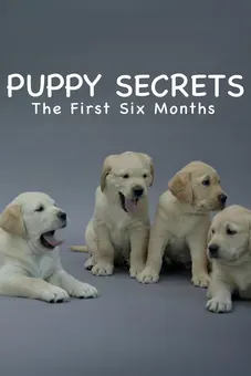 Puppy Secrets: The First Six Months