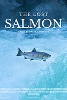 The Lost Salmon