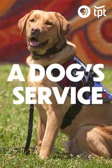 A Dog's Service