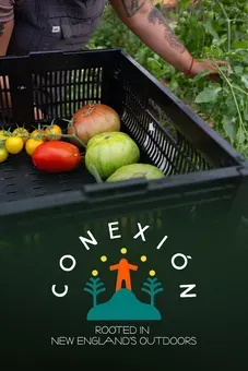 Conexión