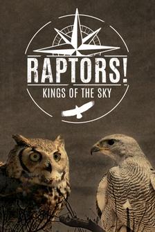 Raptors: Kings of the Sky
