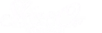 Shine On: The Story of Tom Lee