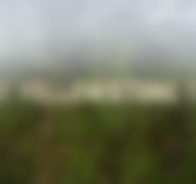 Great Yellowstone Thaw