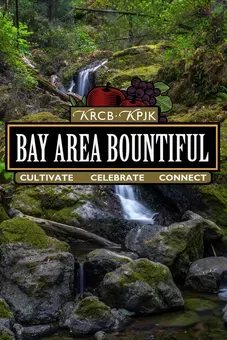 Bay Area Bountiful