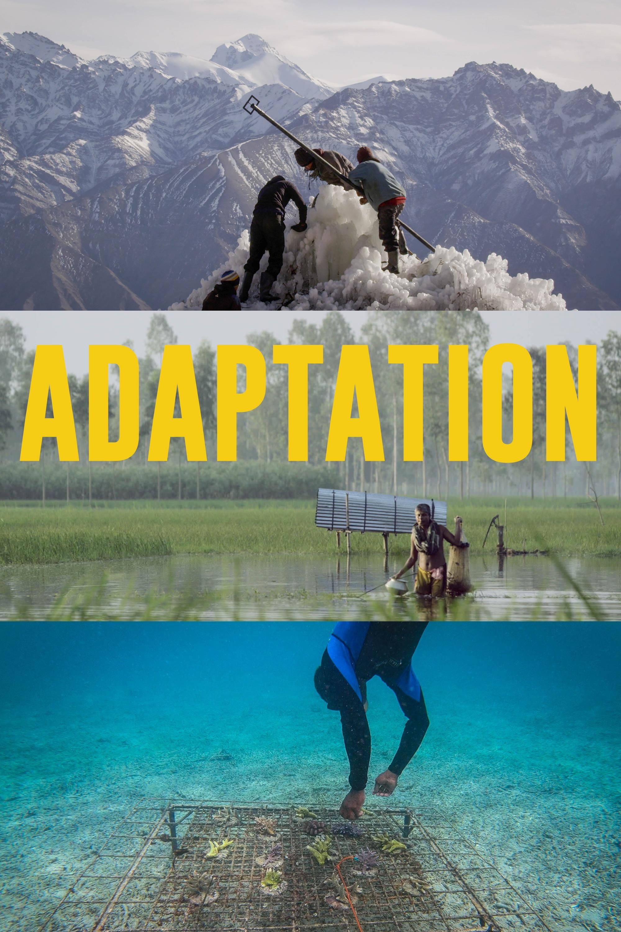 Adaptation show's poster