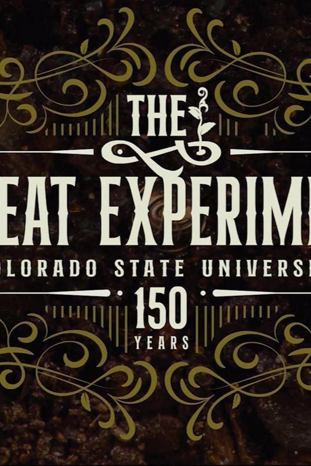 The Great Experiment: CSU at 150 show's poster