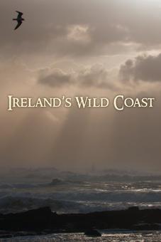Ireland’s Wild Coast