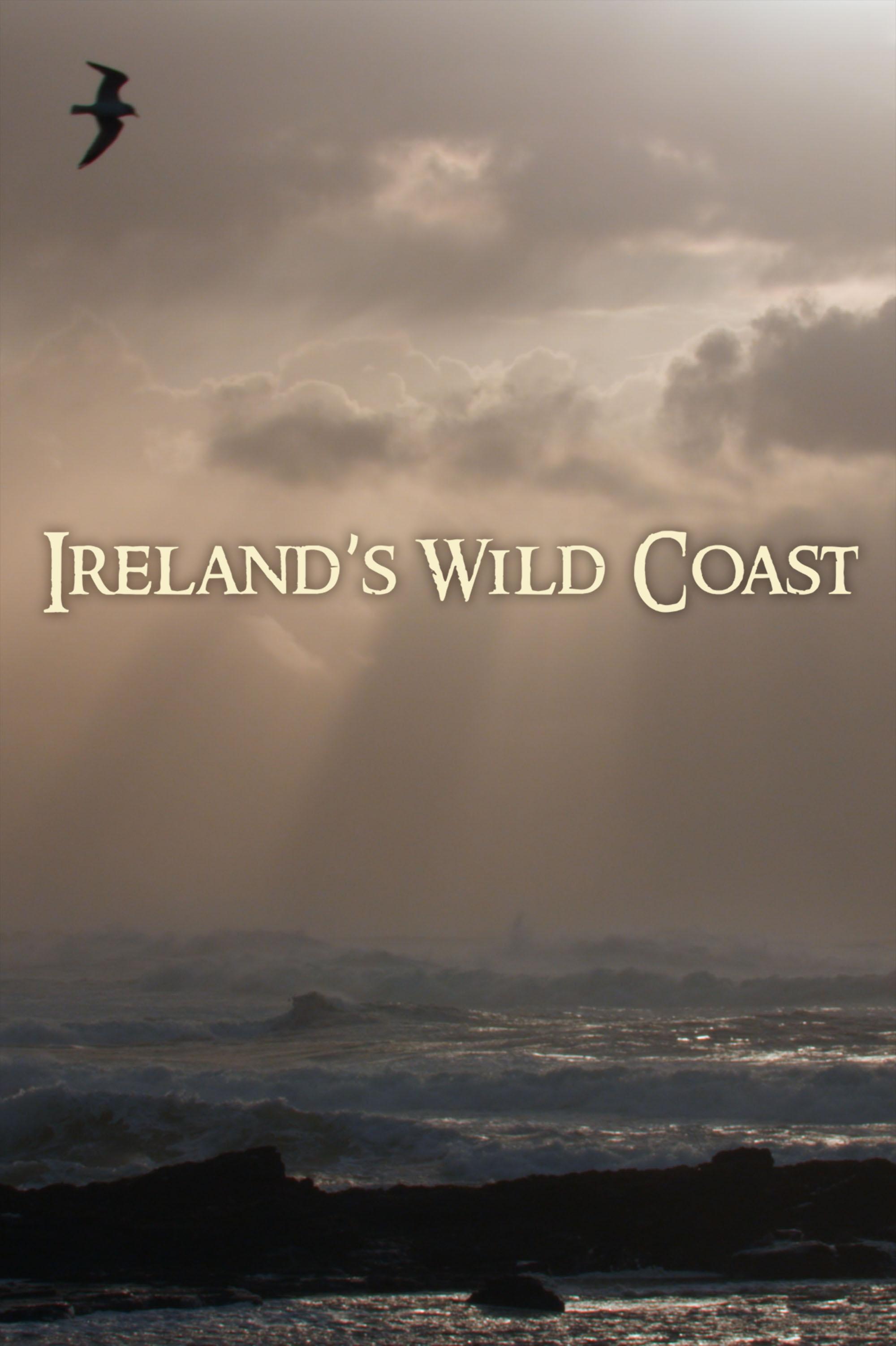 Ireland's Wild Coast show's poster