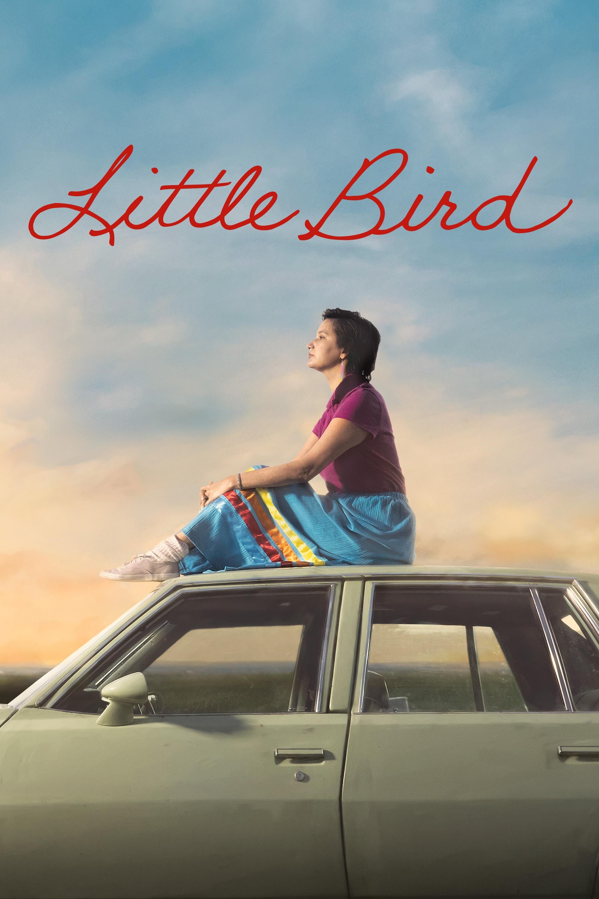 Little Bird show's poster