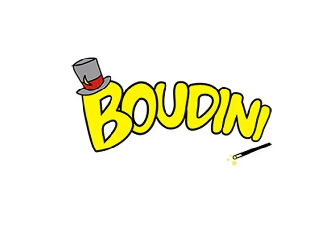 LES AVENTURES DE BOUDINI ET SES AMIS