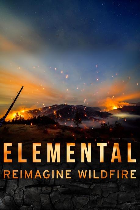 Elemental: Reimagine Wildfire Poster