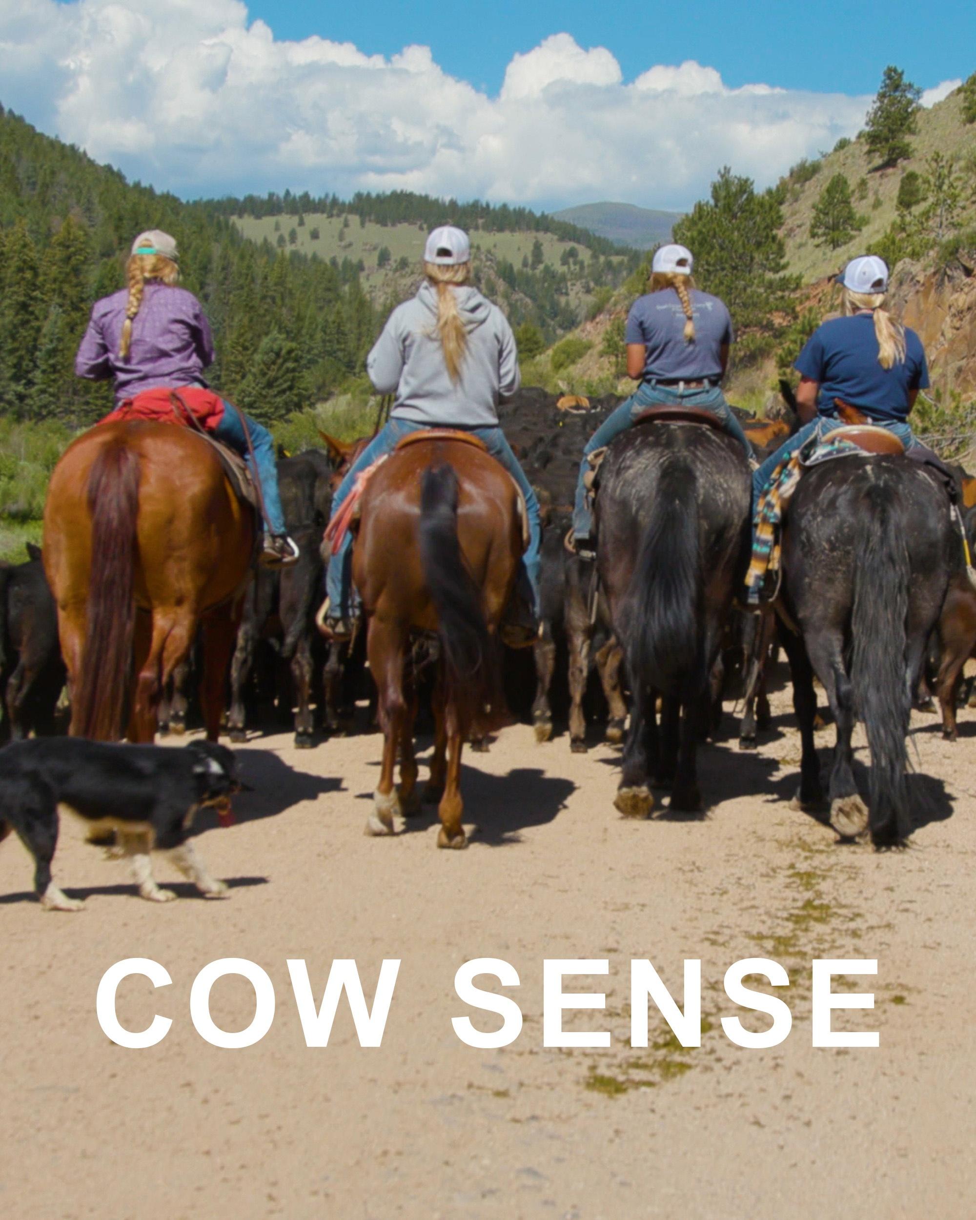 Cow Sense show's poster