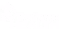 Transforming Health