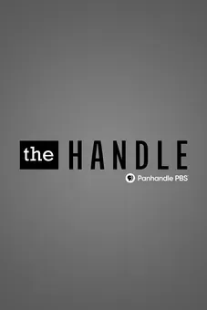 The Handle