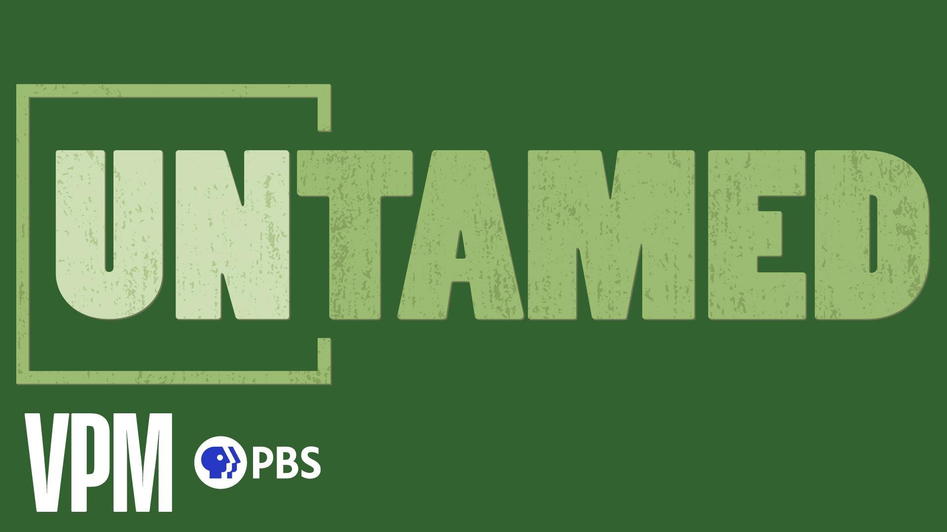 Untamed Rocky Mountain PBS Untamed rocky mountain pbs