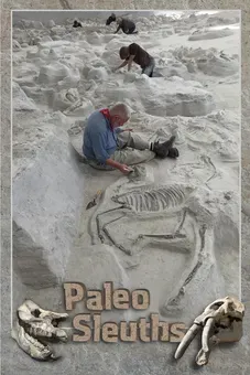 Paleo Sleuths