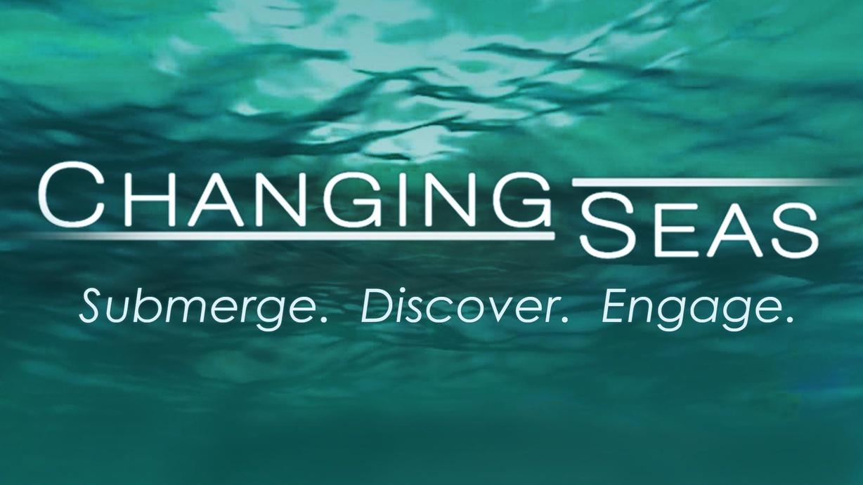 Changing Seas