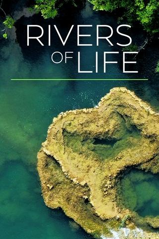 Poster image for Rivers of Life