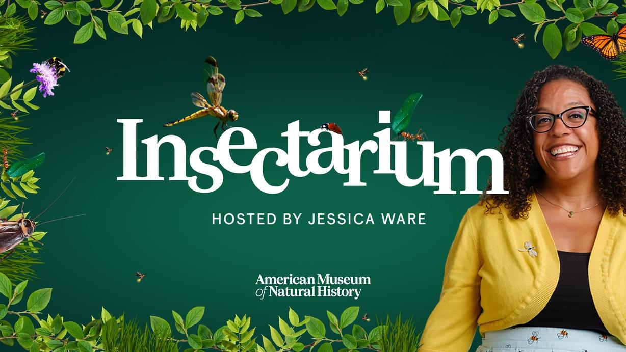 Insectarium