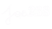 JOE 238