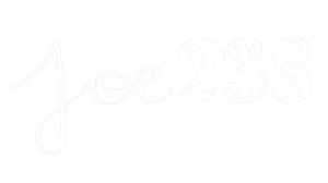JOE 238