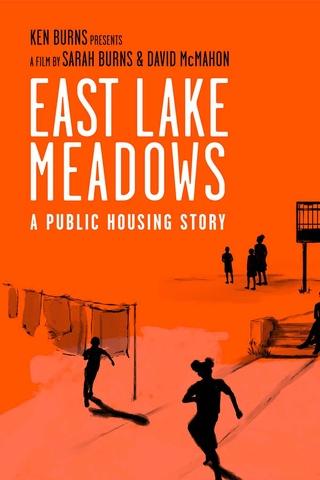 Poster image for East Lake Meadows