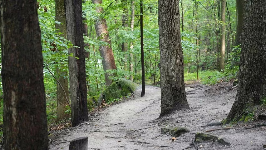 By Nature’s Design: Exploring Our Native Wildlife