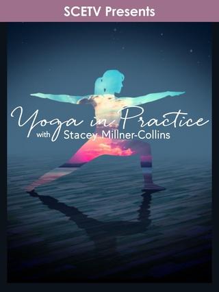Yoga in Practice: show-poster2x3