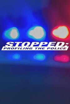 Stopped: Profiling the Police