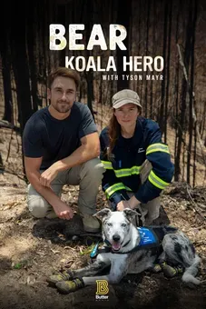 Bear: Koala Hero