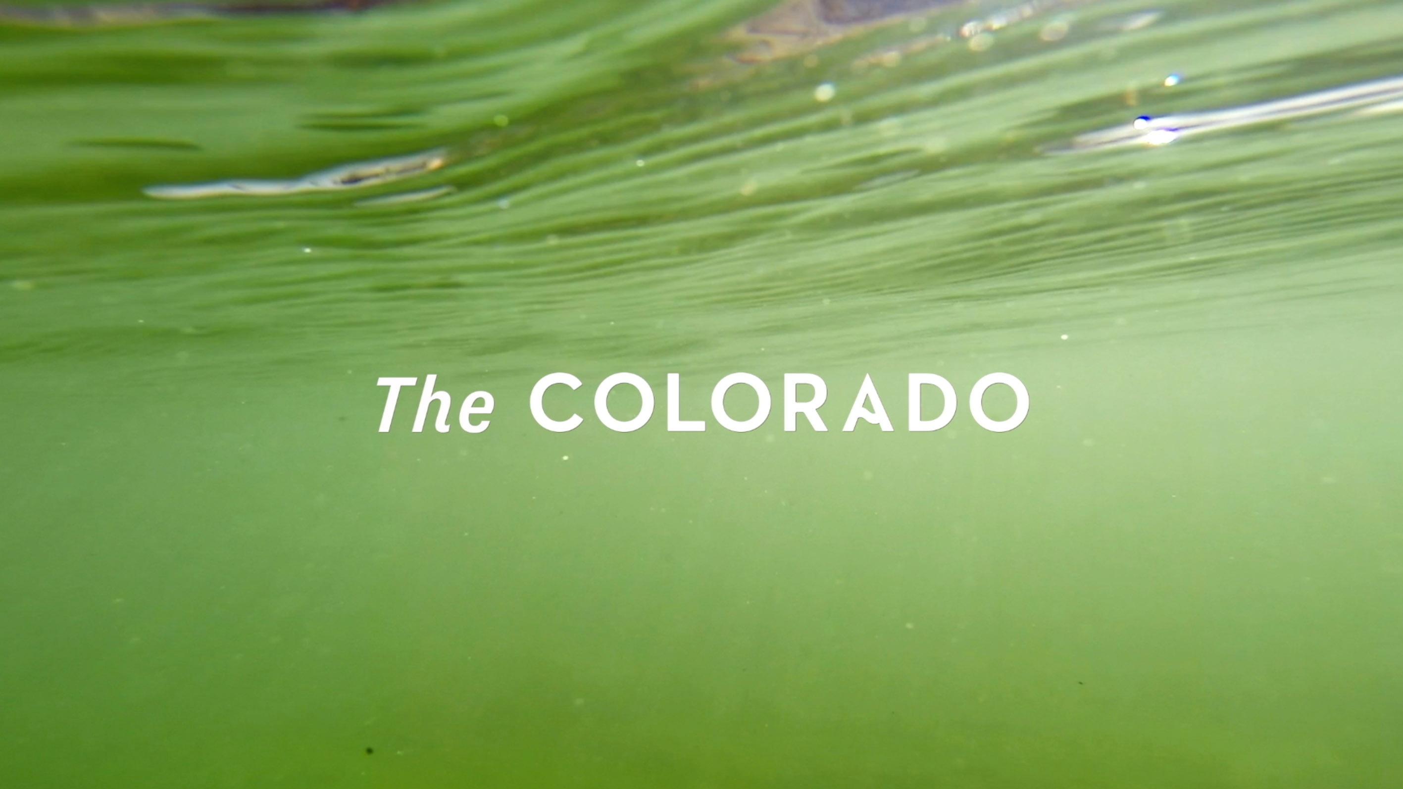 The Colorado