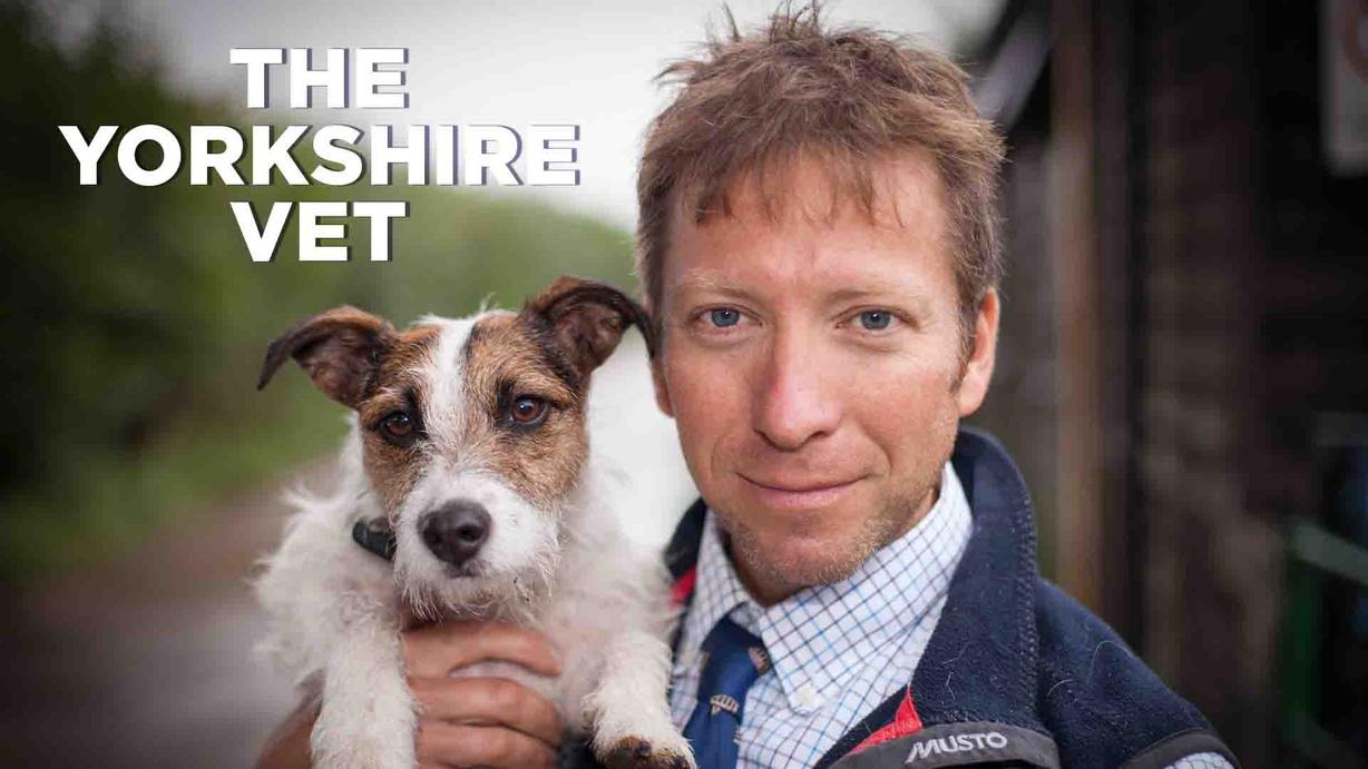 The Yorkshire Vet