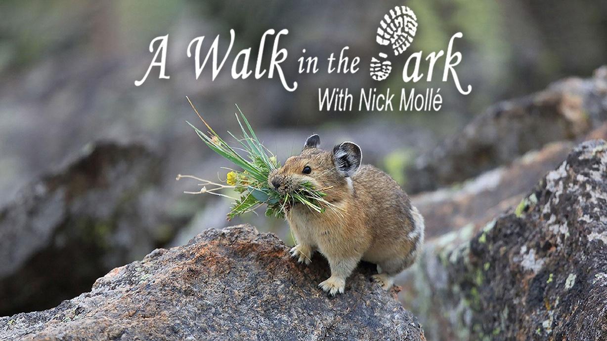 A Walk in the Park with Nick Mollé