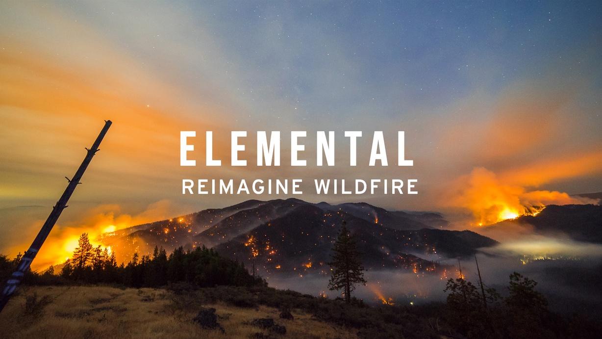 Elemental: Reimagine Wildfire