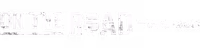 On the Road with Chatham Rabbits
