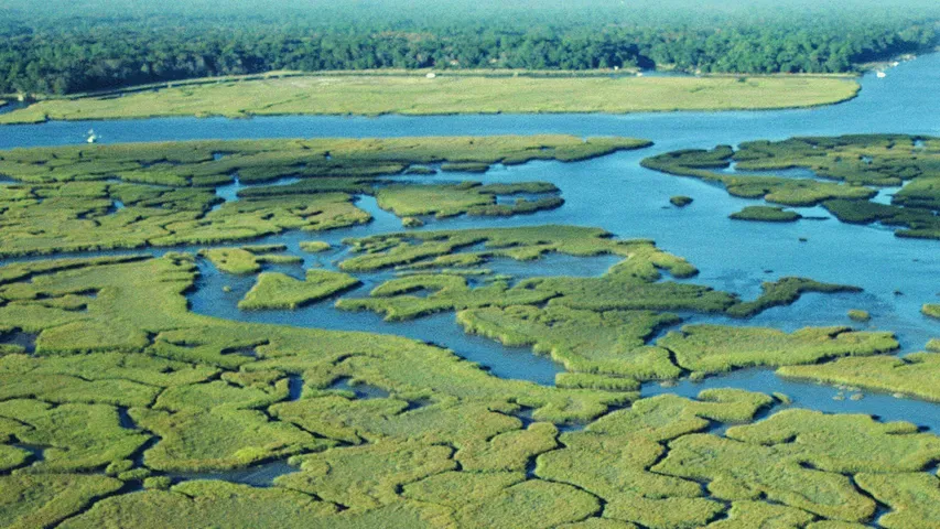 Battleground Everglades