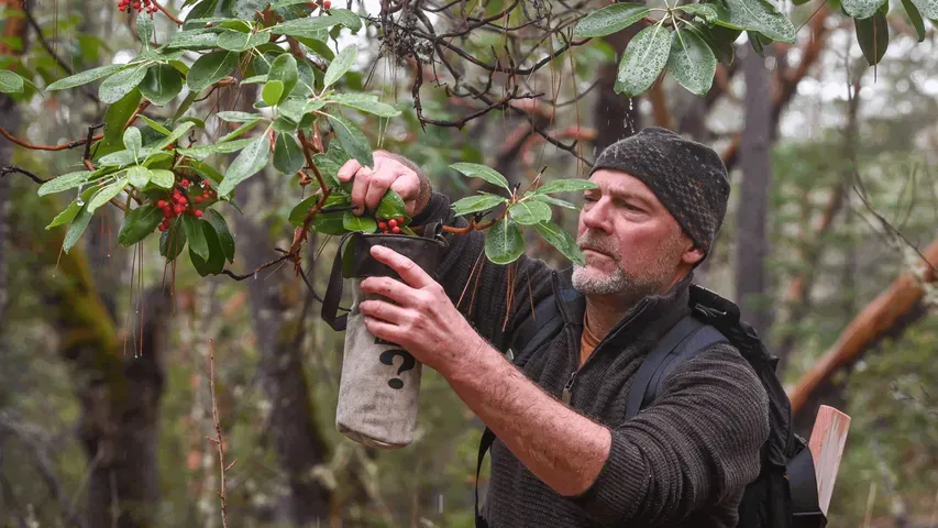 Les Stroud's Wild Harvest