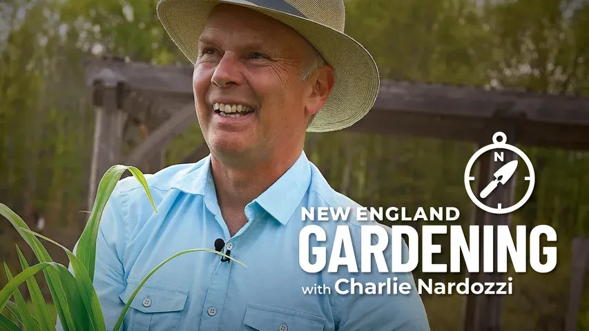 New England Gardening with Charlie Nardozzi