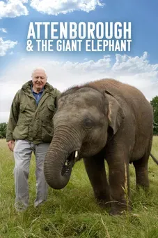 Attenborough and the Giant Elephant