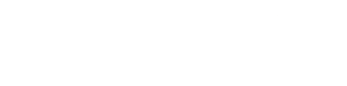 Our Vanishing Americana: Florida