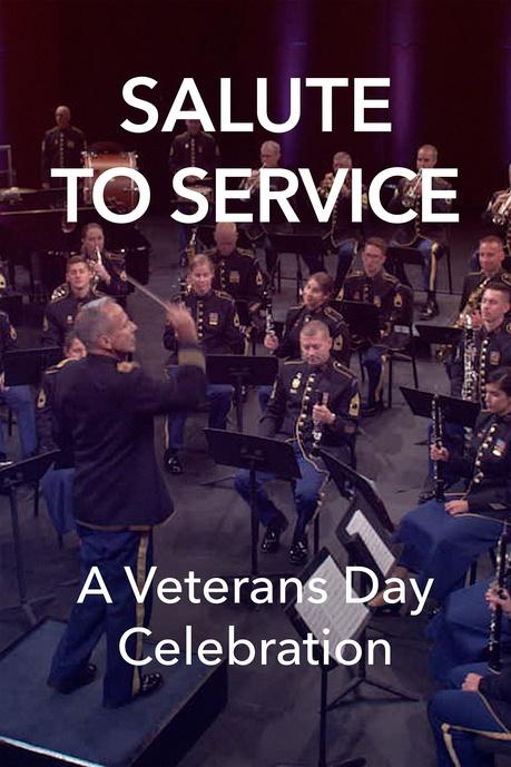 Salute to Service: A Veterans Day Celebration Poster