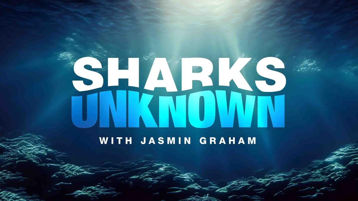 Sharks Unknown with Jasmin Graham