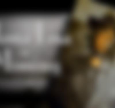 Mona Lisa is Missing | PBS