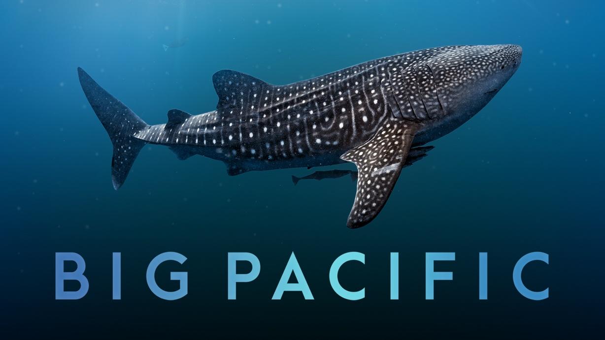 Big Pacific