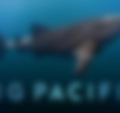 Big Pacific