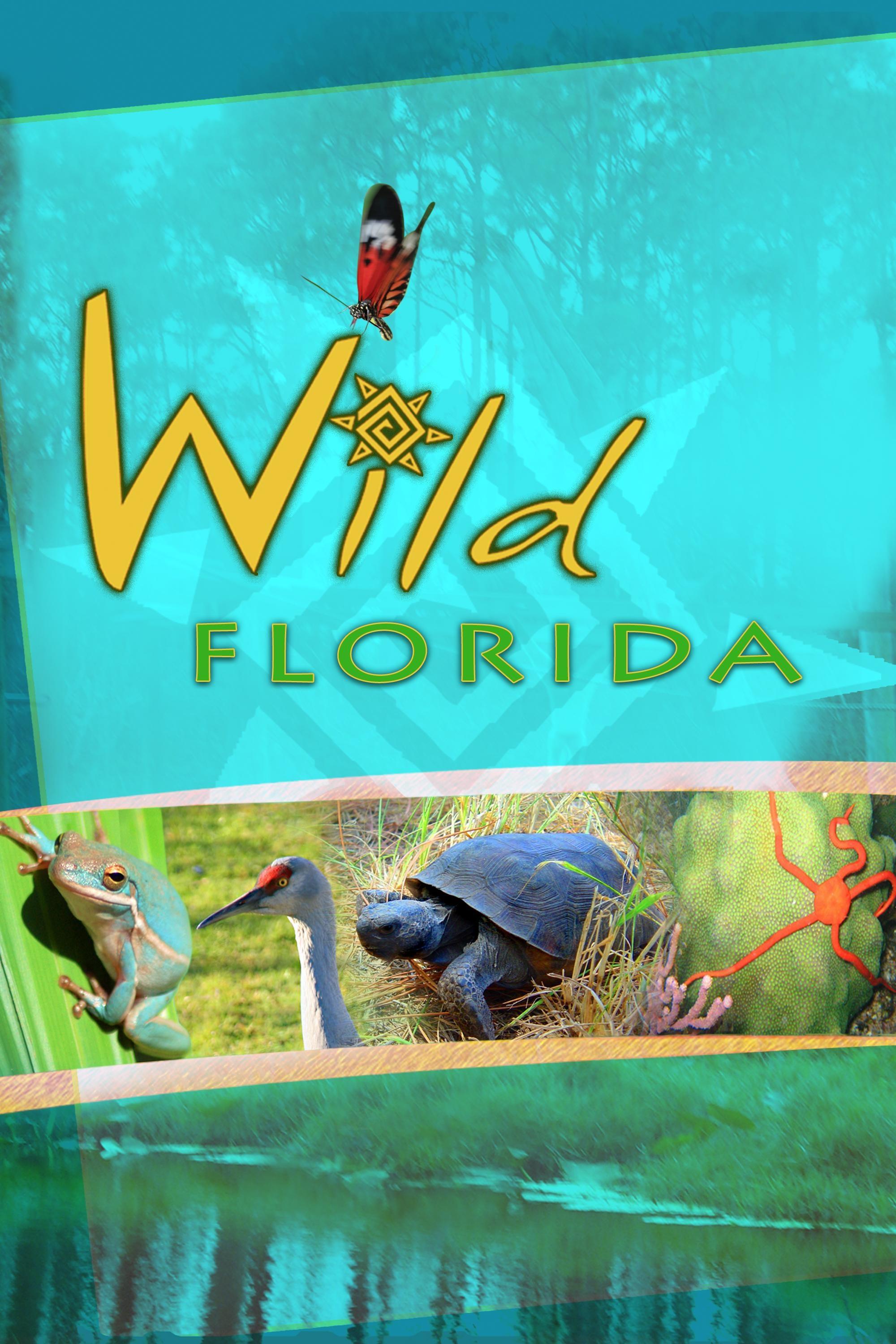 その他 NATURE: Wild Florida [DVD] Import Wild Florida | PBS